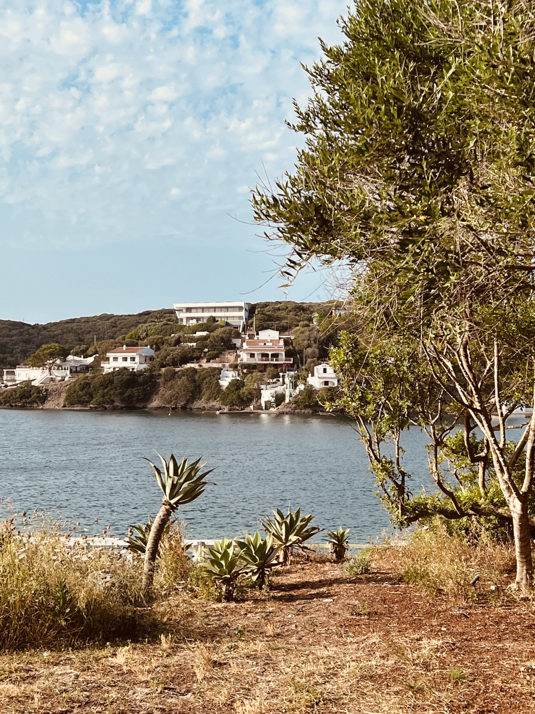 View of the ocean.
