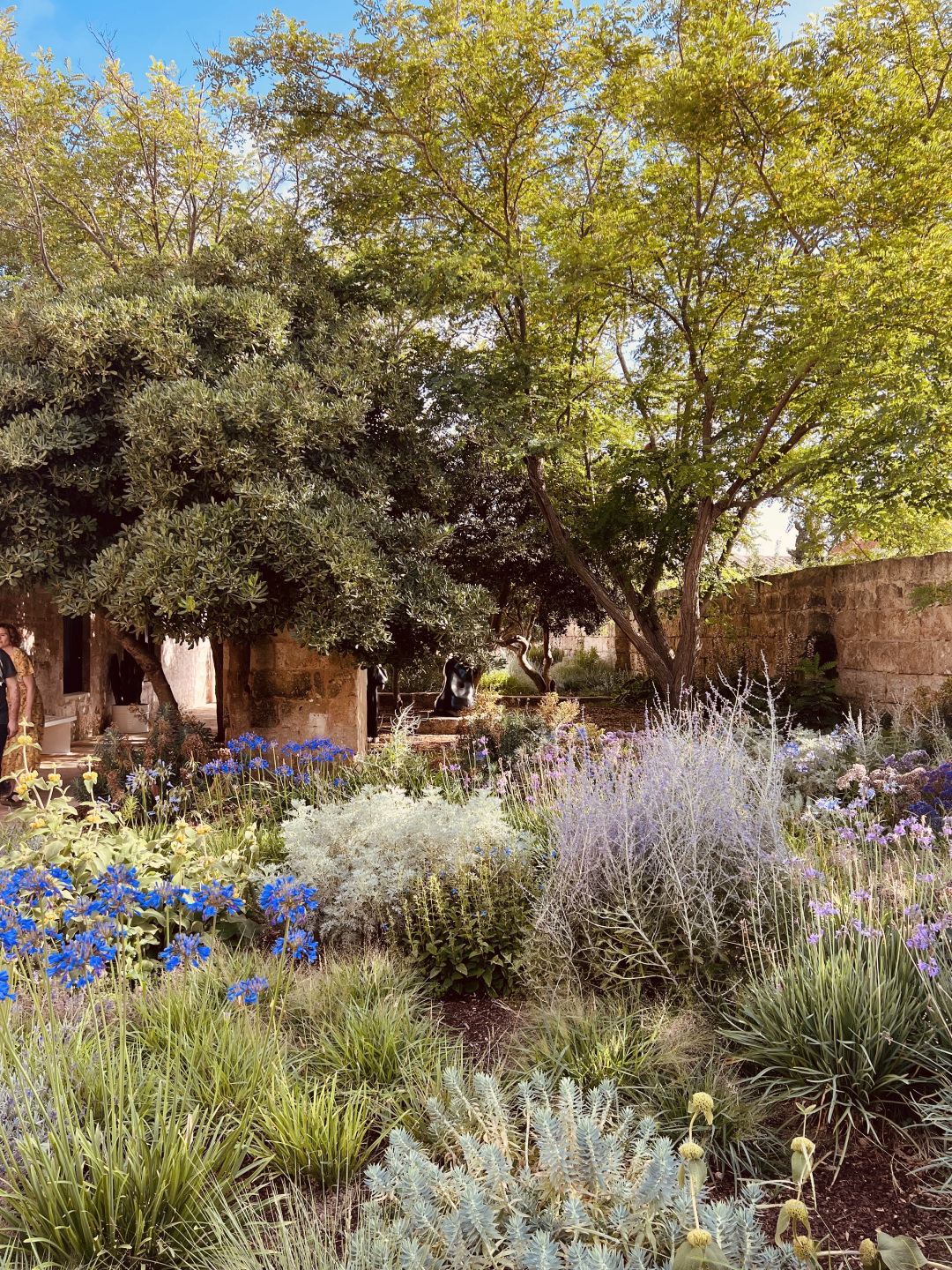 A beautiful garden.