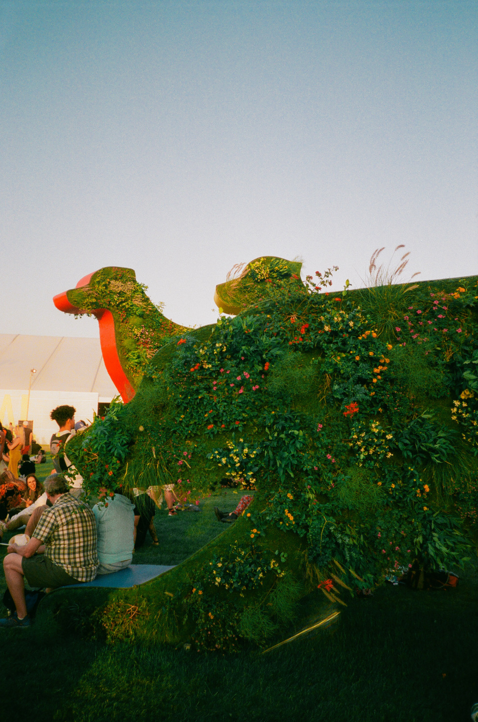 dogs with plants on them