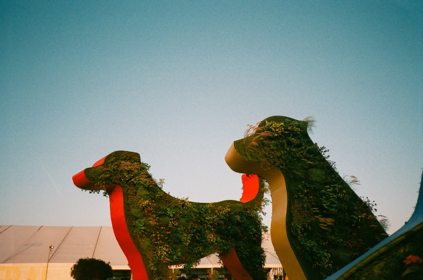 dogs with plants on them