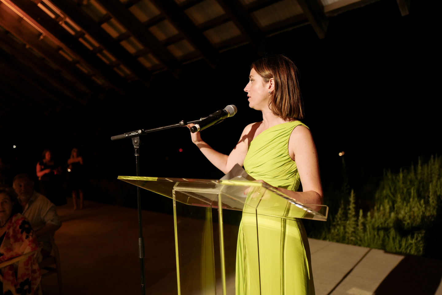Woman speaks into microphone.