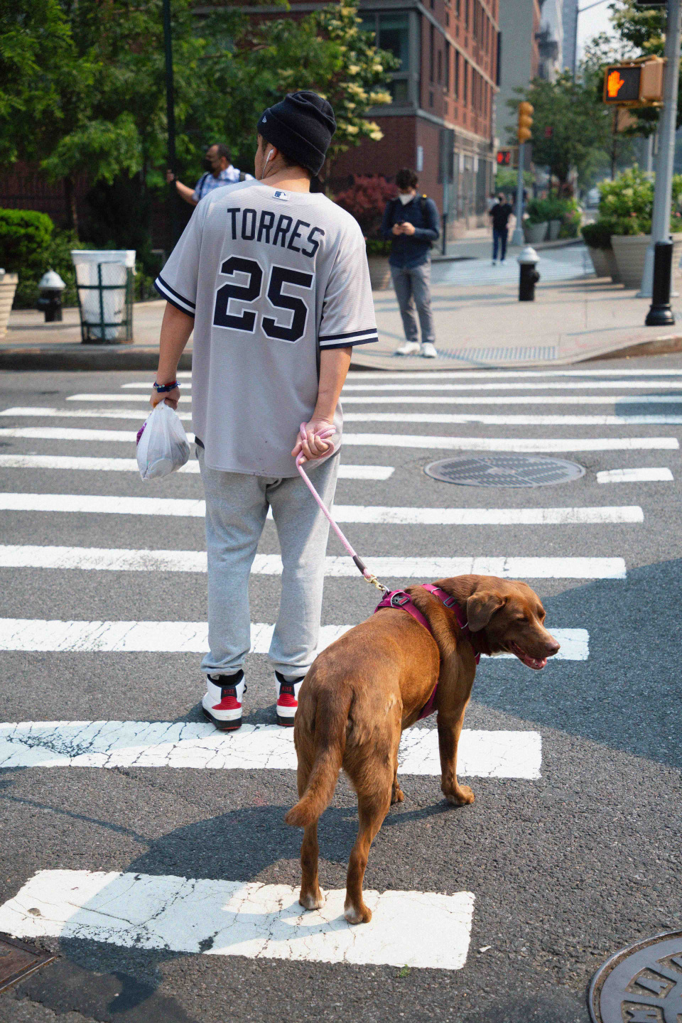 Tommy-Rizzoli-photographer-wildfire