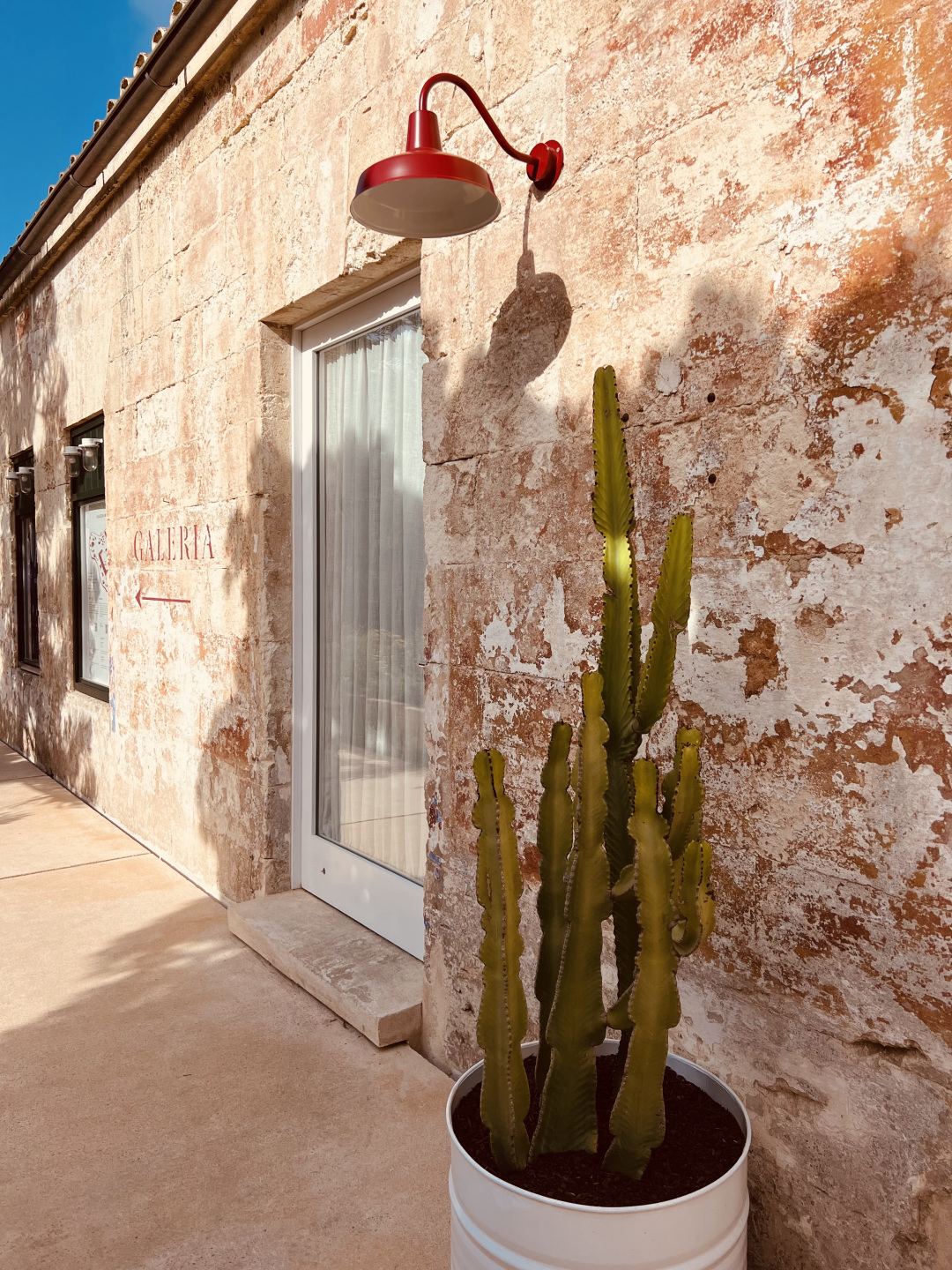 Exterior of a building with a light and cactus.