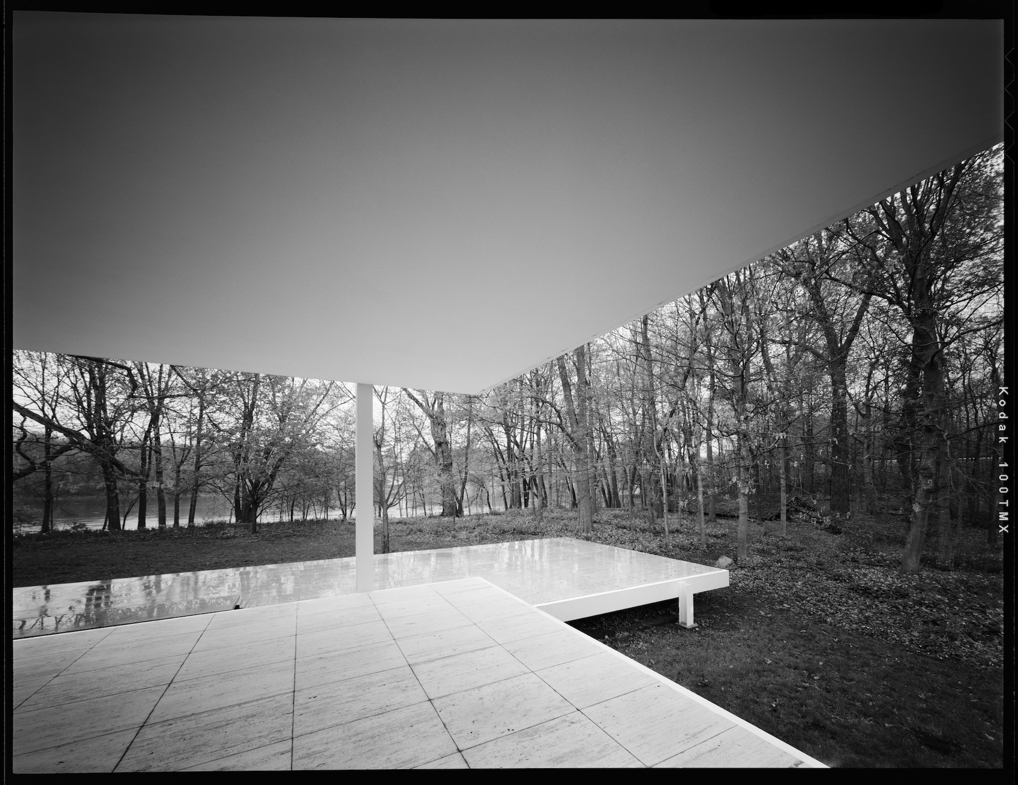 François Dischinger's shot of the Farnsworth House. Courtesy of artist. 
