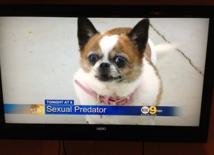 What do you look like in the morning_