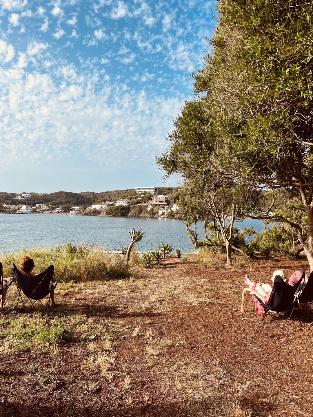 People sitting looking out at the ocean.