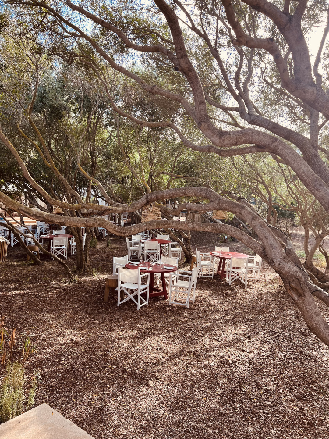 An outdoor eating area.