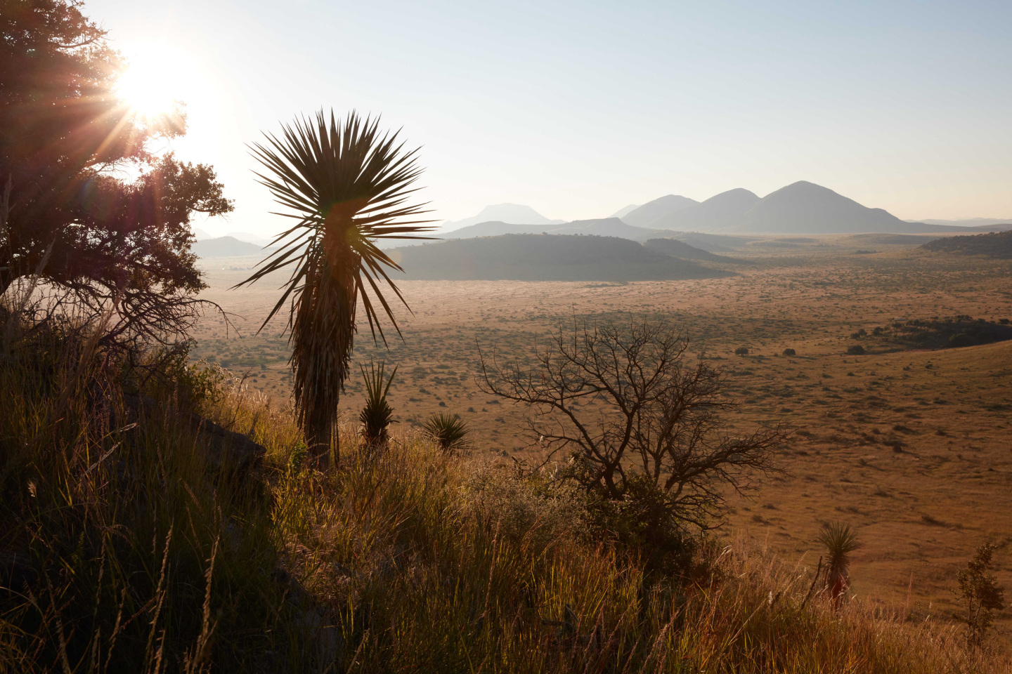 martien-mulder-photographs-chinati-mountains