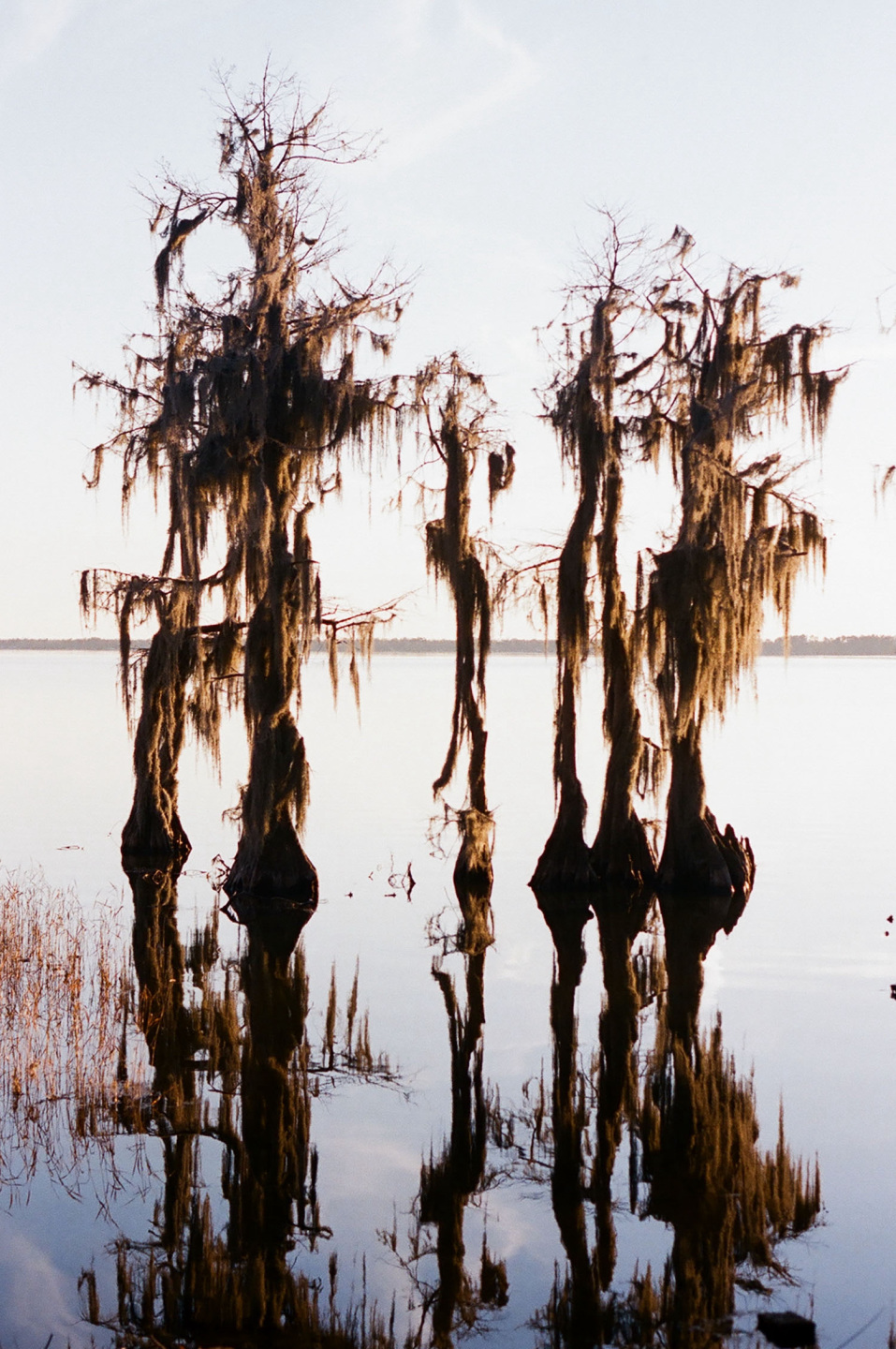 photographer-north-carolina