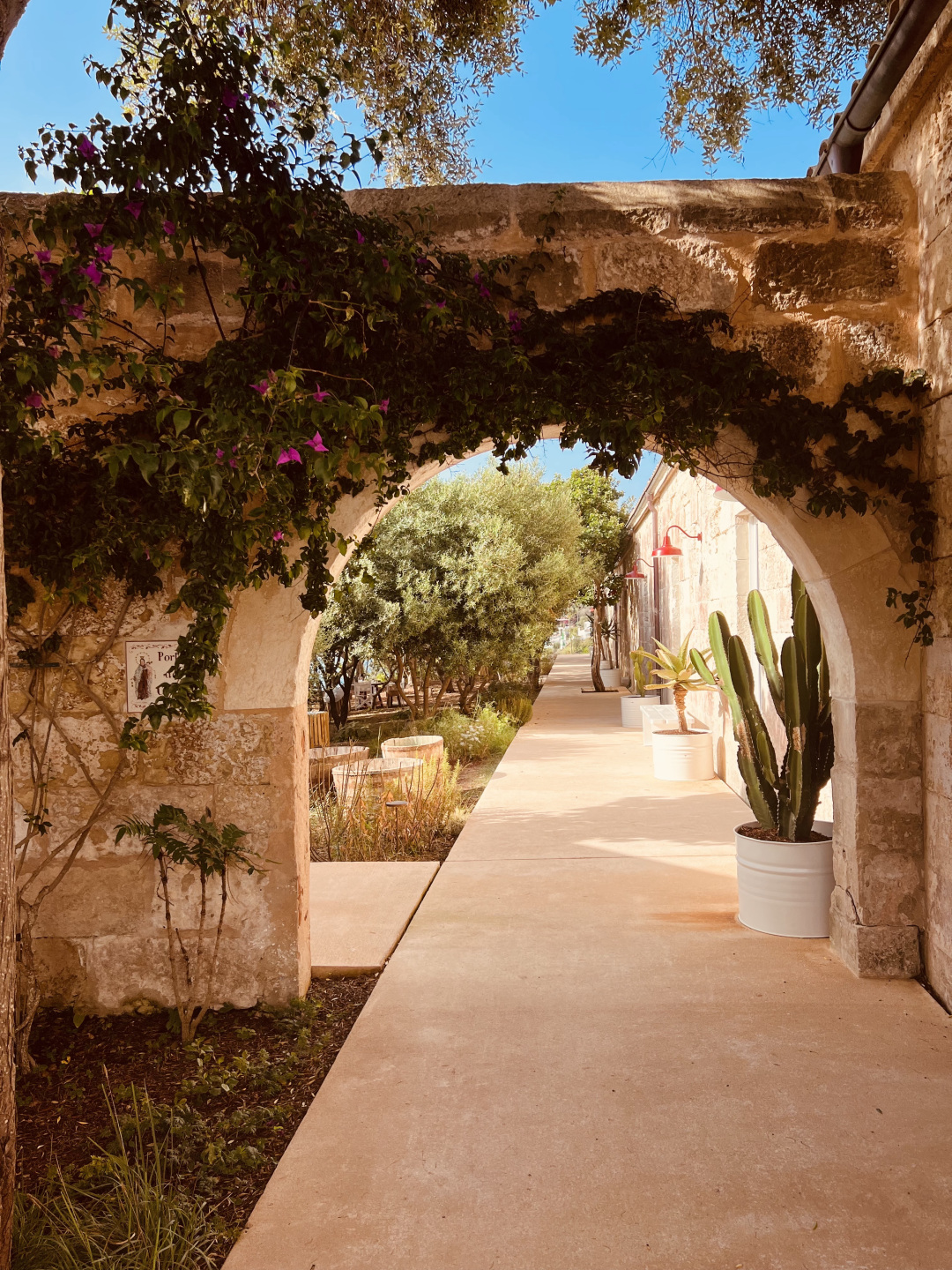 An outdoor archway with vines and flowers on it.