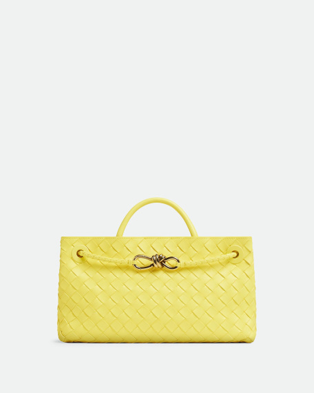 Bottega Veneta East West Andiamo
