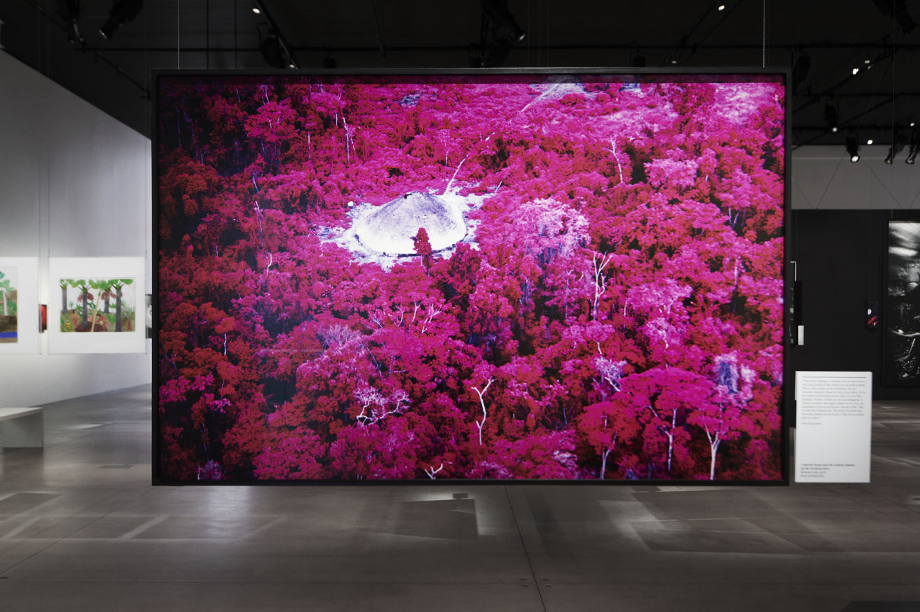caludia-andujar-the-shed-yanomami-struggle-installation