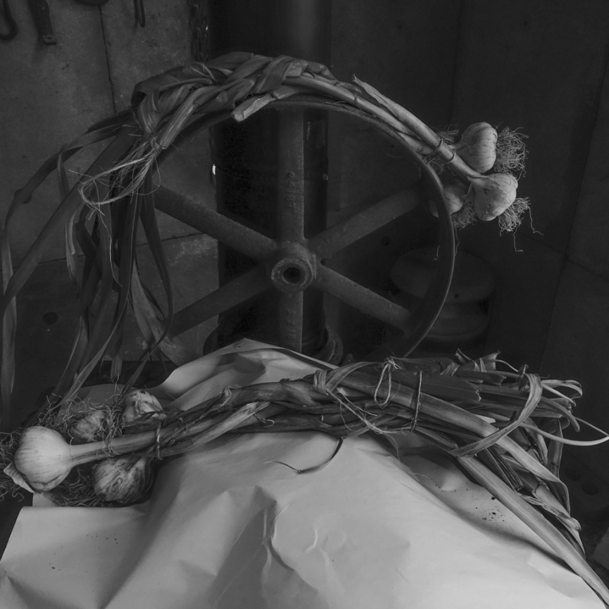 All photography by Larry Fink.