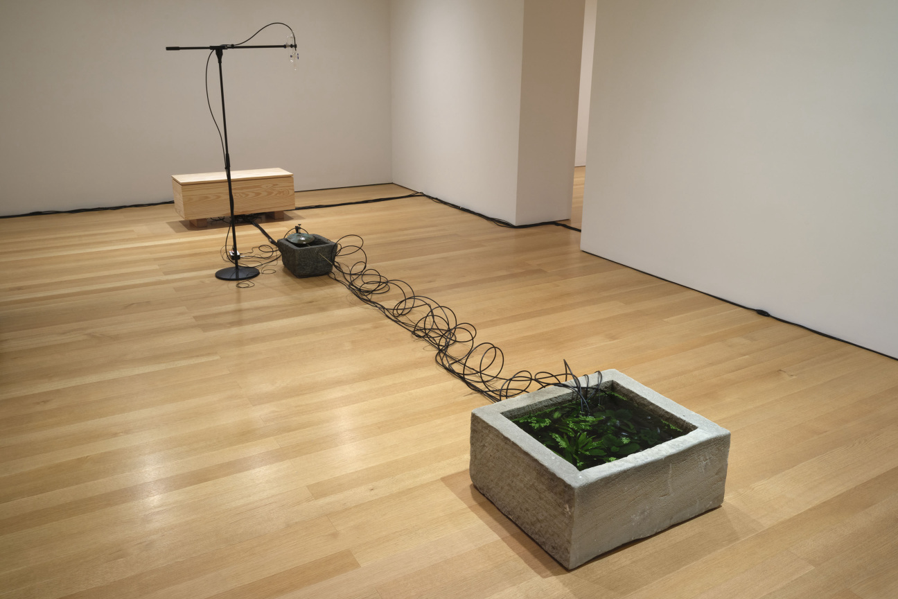 Tarek Atoui, Underwater birds, 2021.