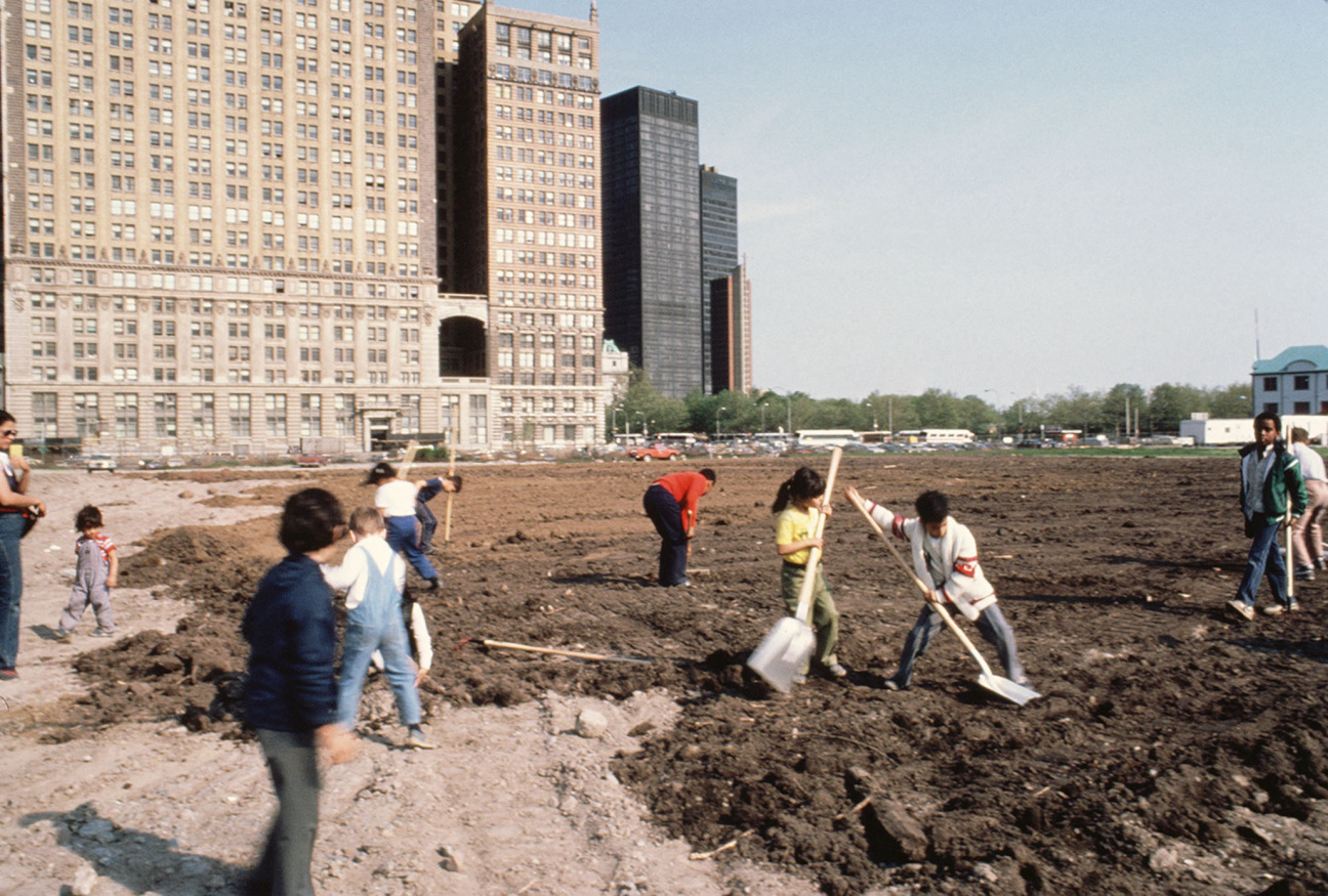 agnes-denes-wheatfield-battery-park-landfill