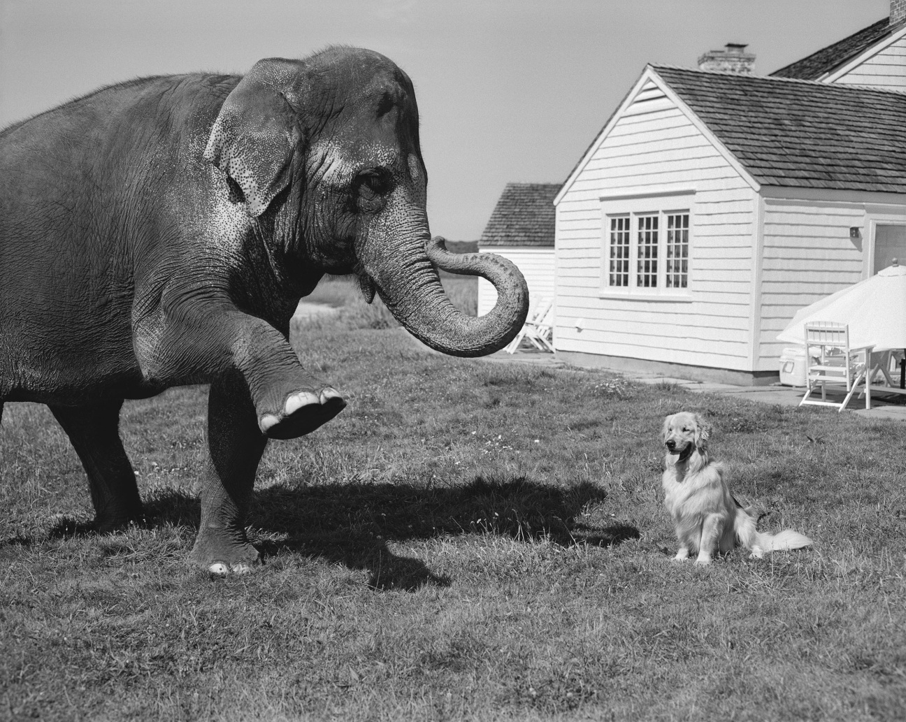 bruce-weber-photography