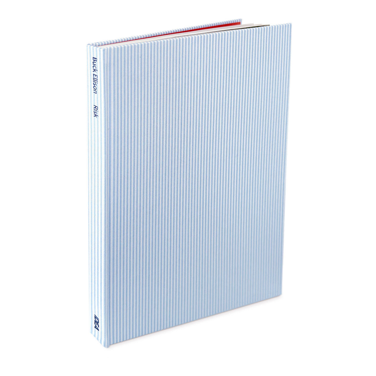 RISK-book-cover