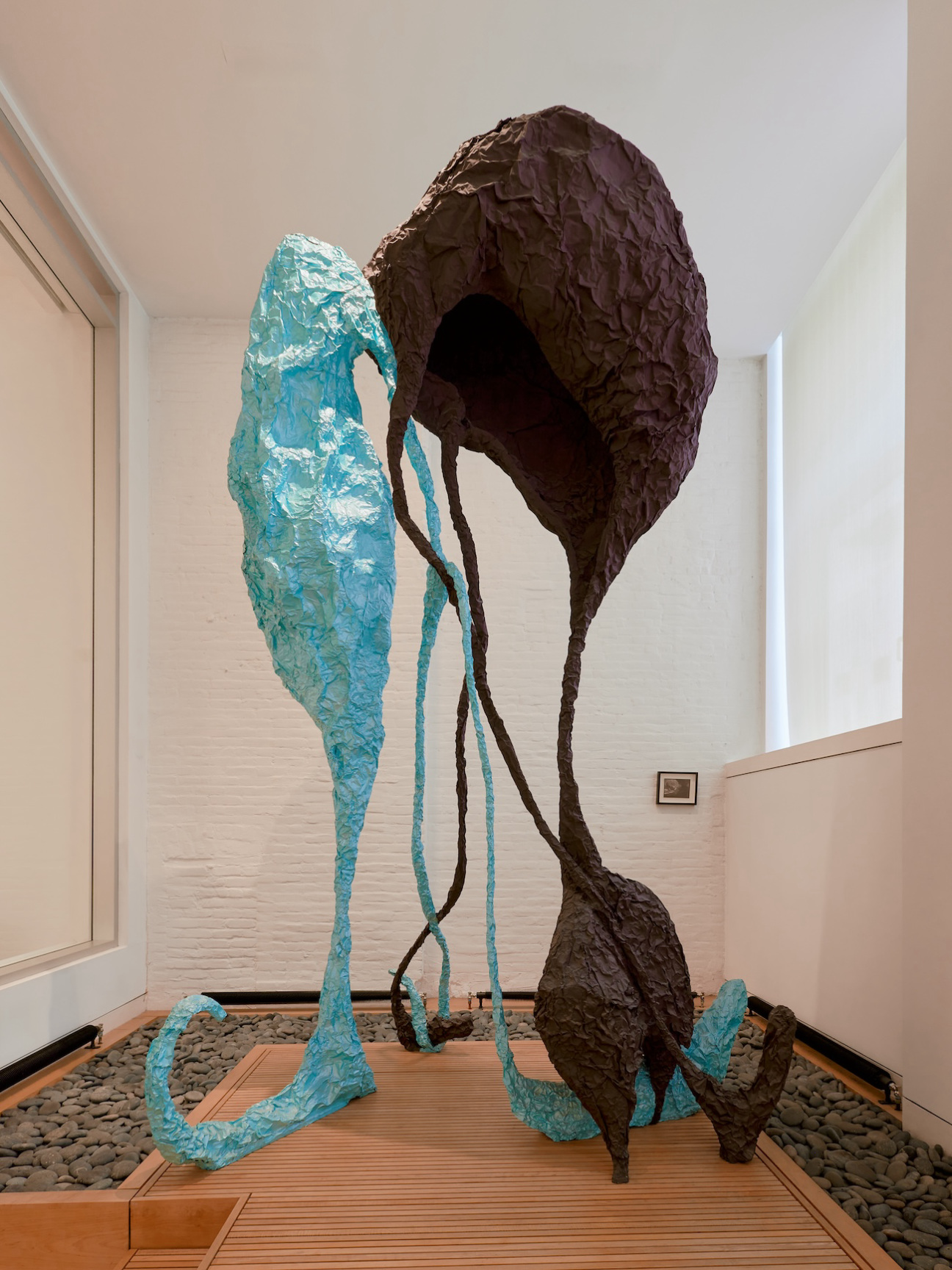 carol-schuster-art-collector