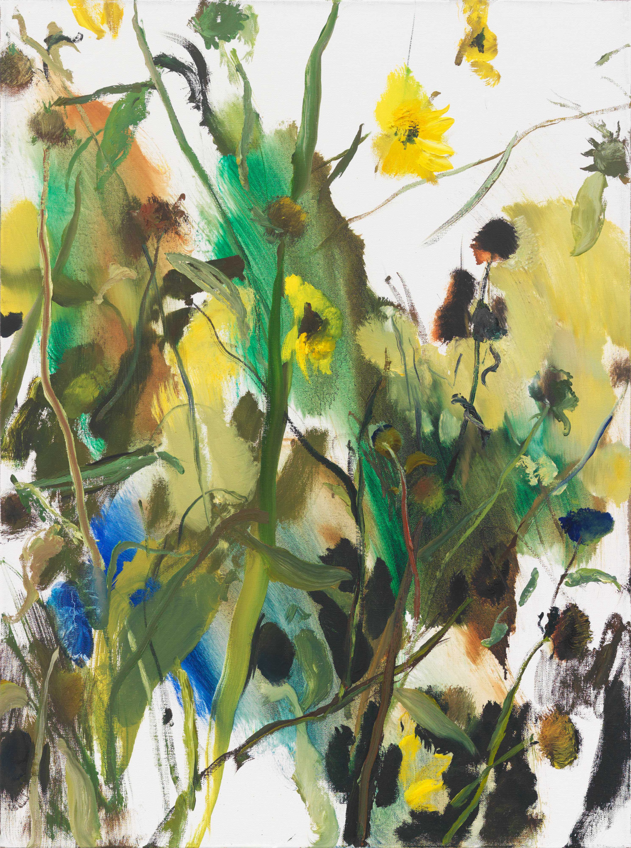 doron-langberg-florals