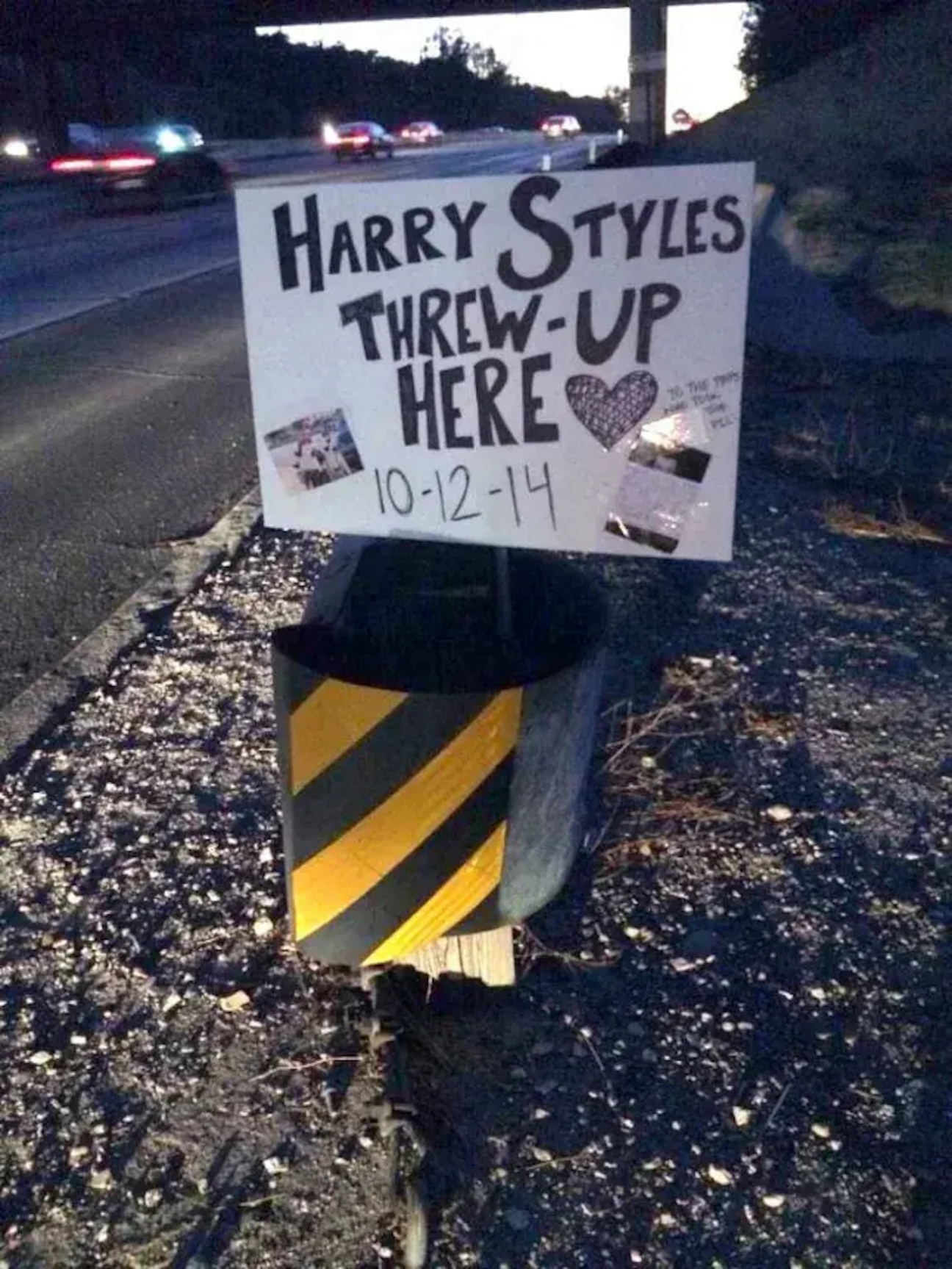 puke-shrine-Harry-Styles