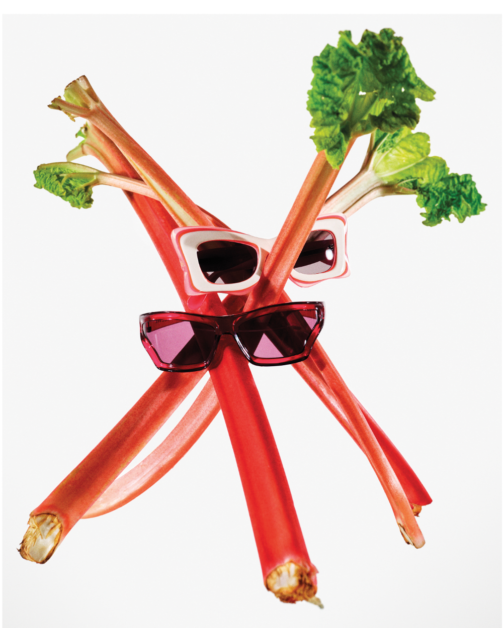 Two pairs of sunglasses placed on two stems of celery.