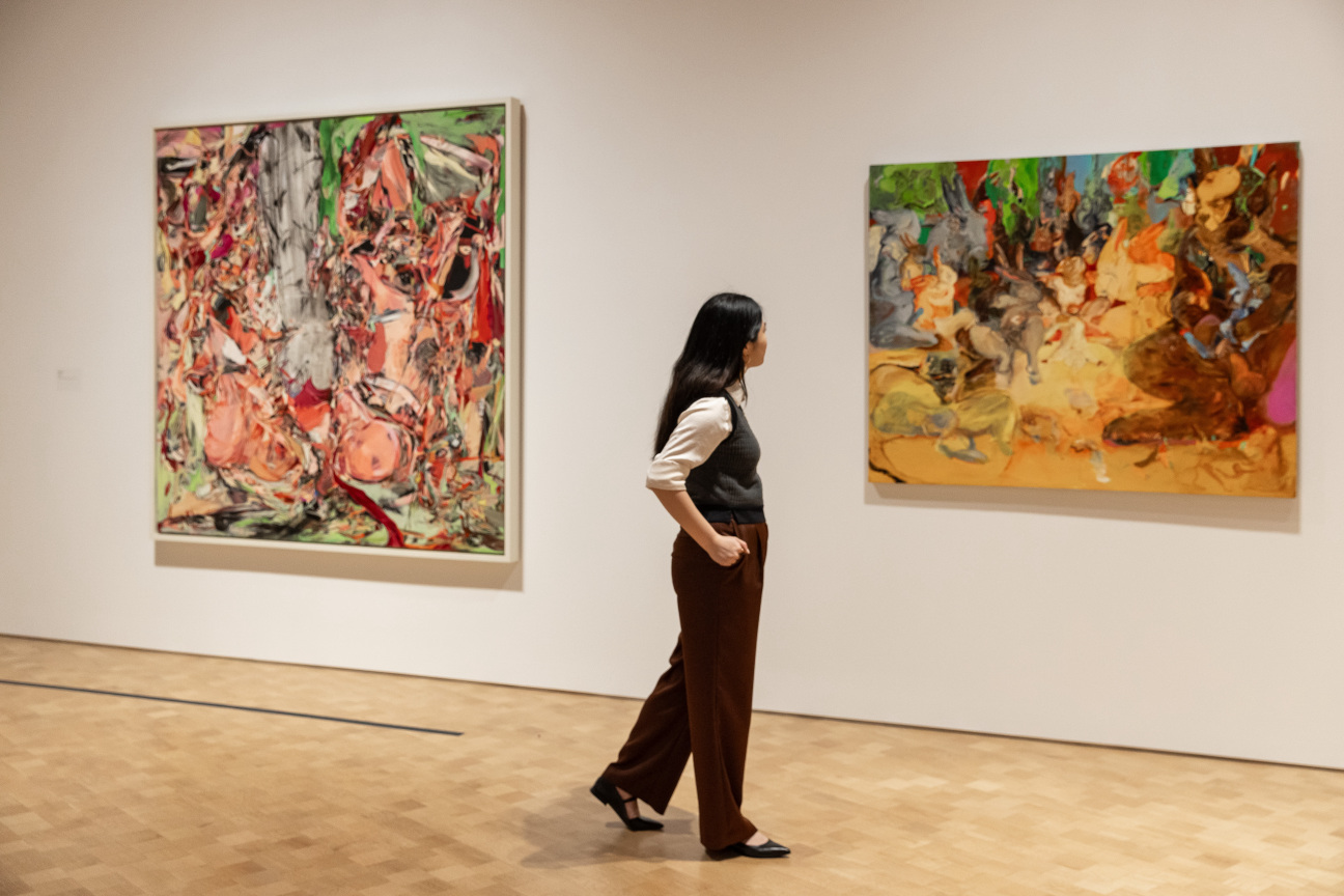 cecily-brown-barnes-foundation-exhibition