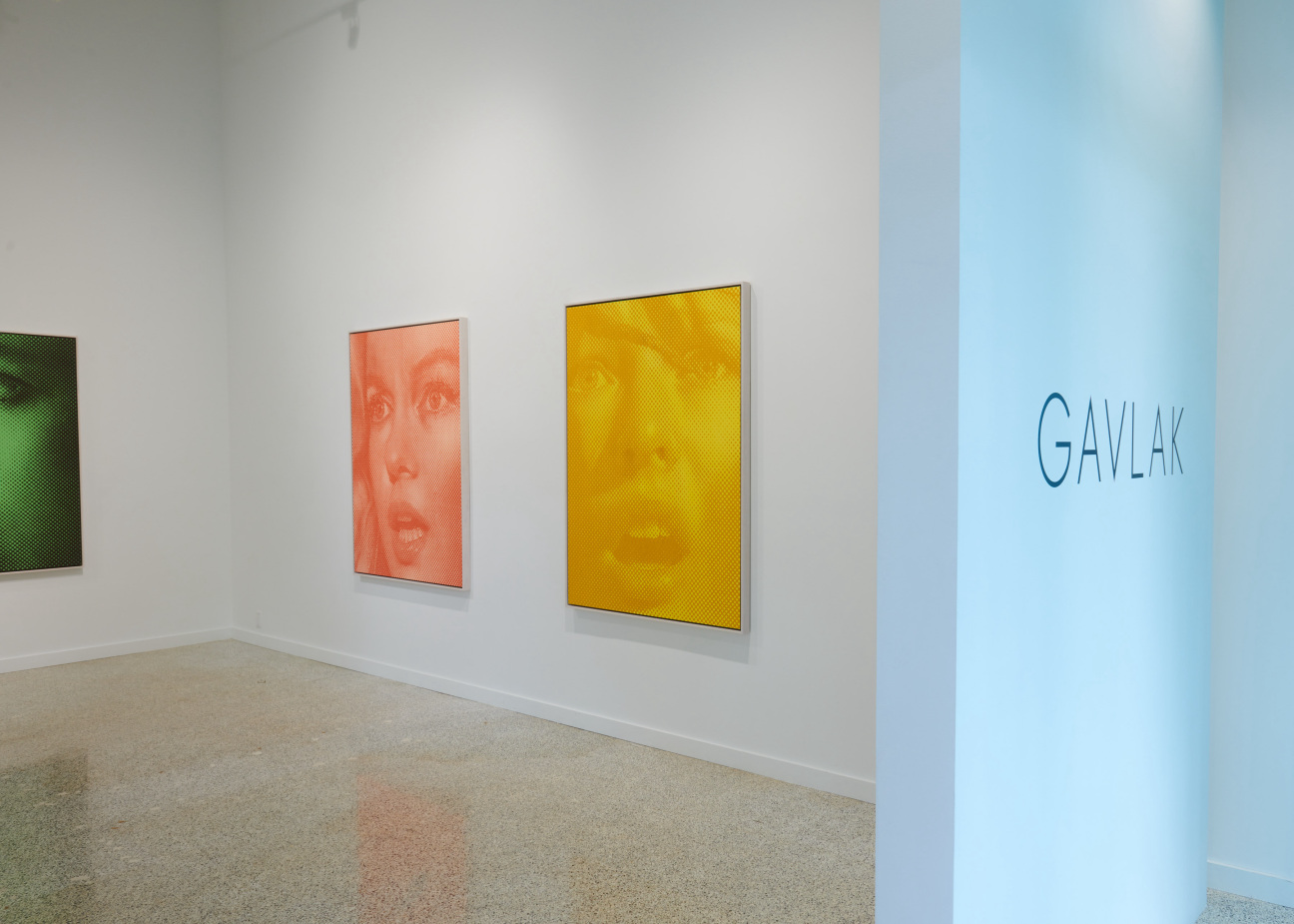 beth-rudin-dewoody-art-collector