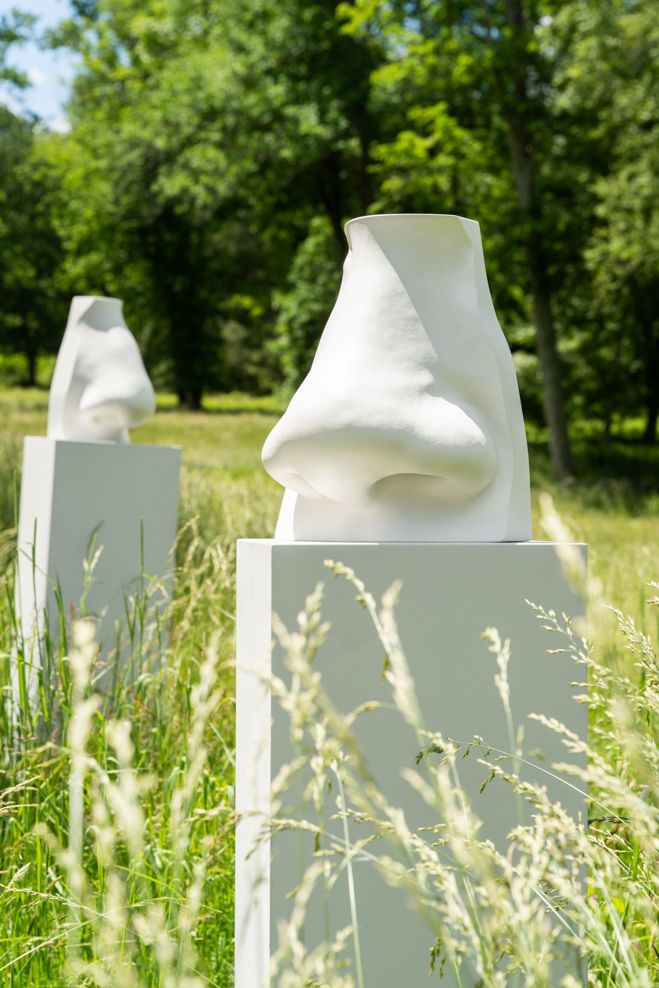 Aesop-Nose-sculptures-in-field