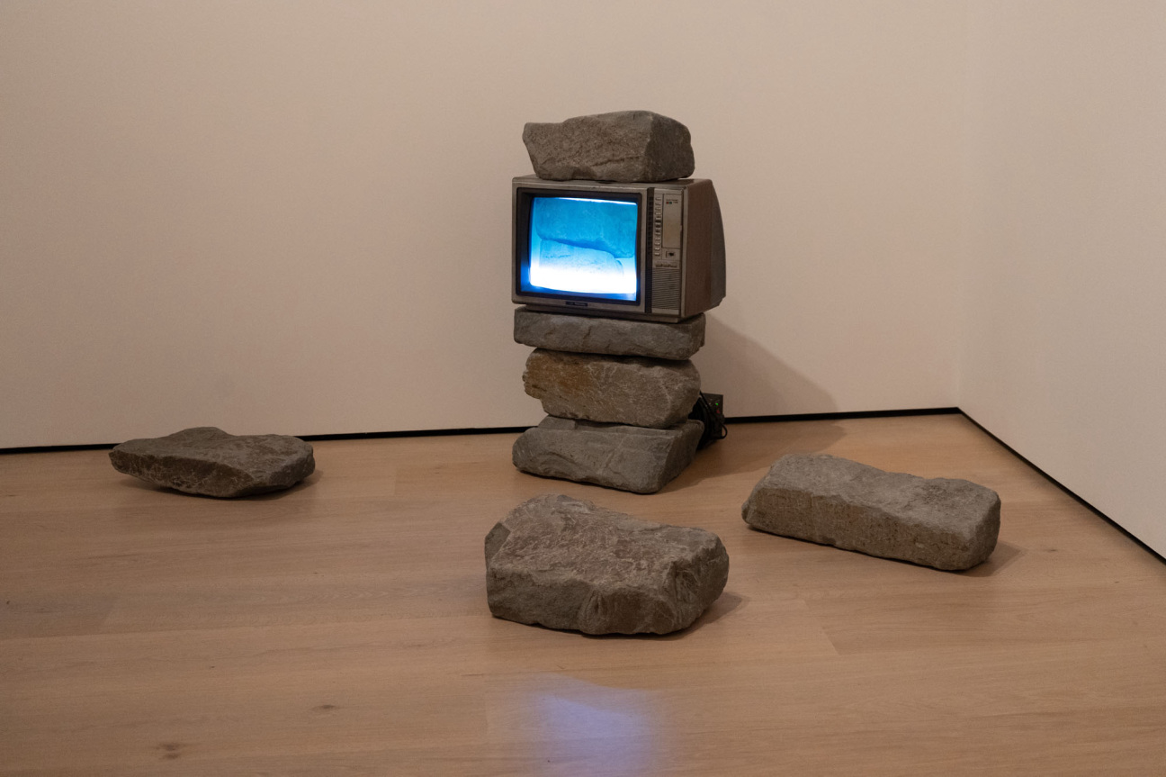 hammer-museum-only-the-young