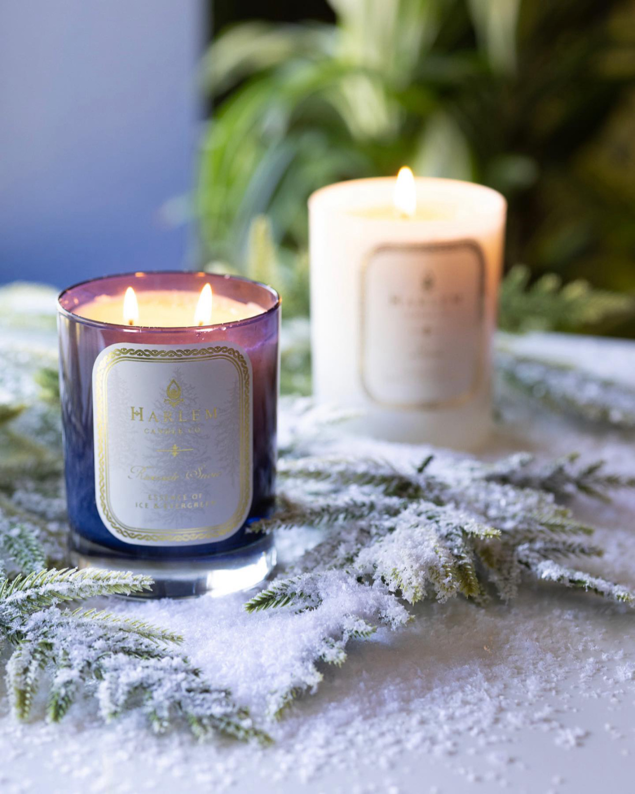 holiday-gift-guide