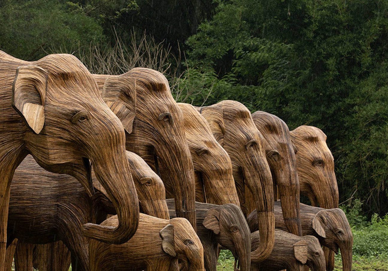 great-elephant-migration-mid-beach-miami-coexistence