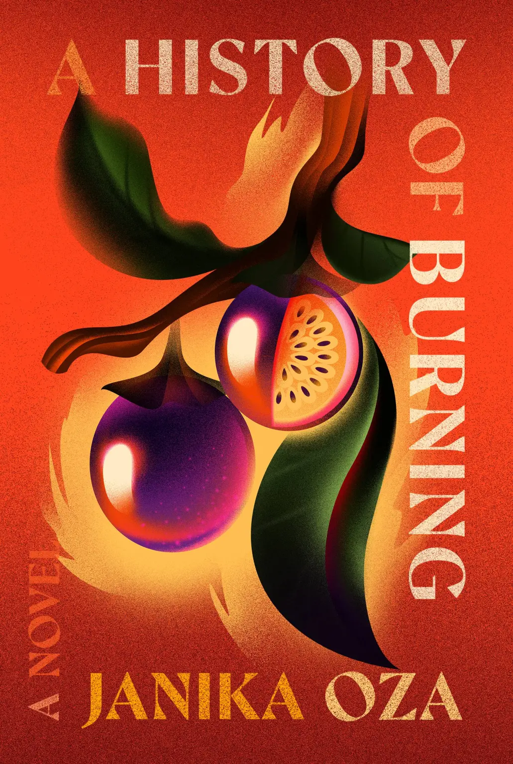 Janika-Oza-A-History-of-Burning-Book-Cover