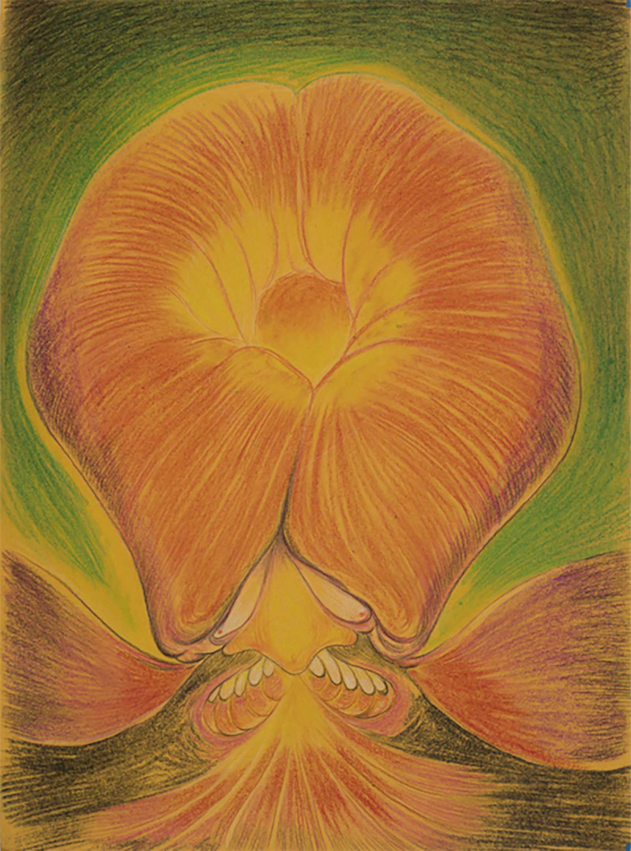 javier-barrios-flowers-drawing-art