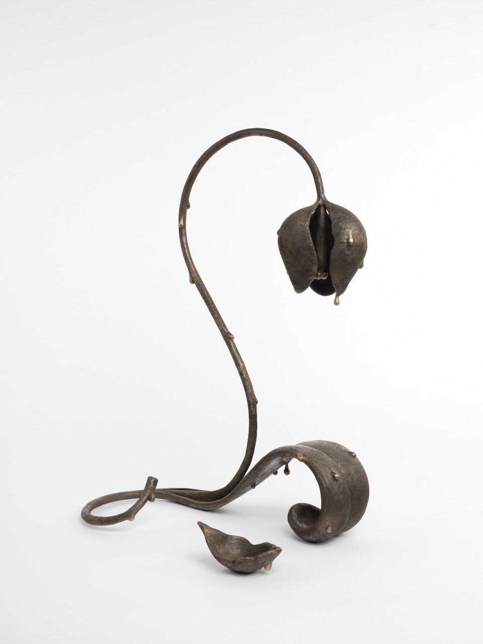 koak-lamp-fog-design