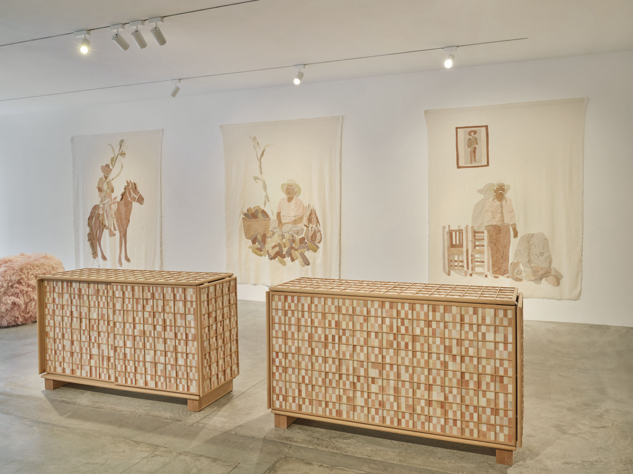 fernando-laposse-exhibition-new-york