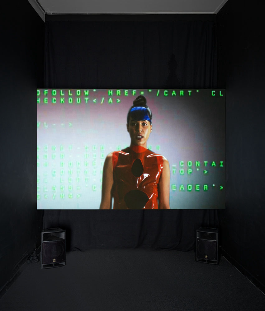 lynn-hershman-leeson-artist