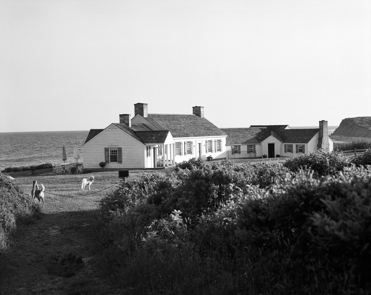 morrissey-home-montauk