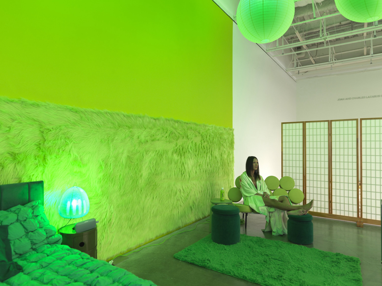 puppies-puppies-installation
