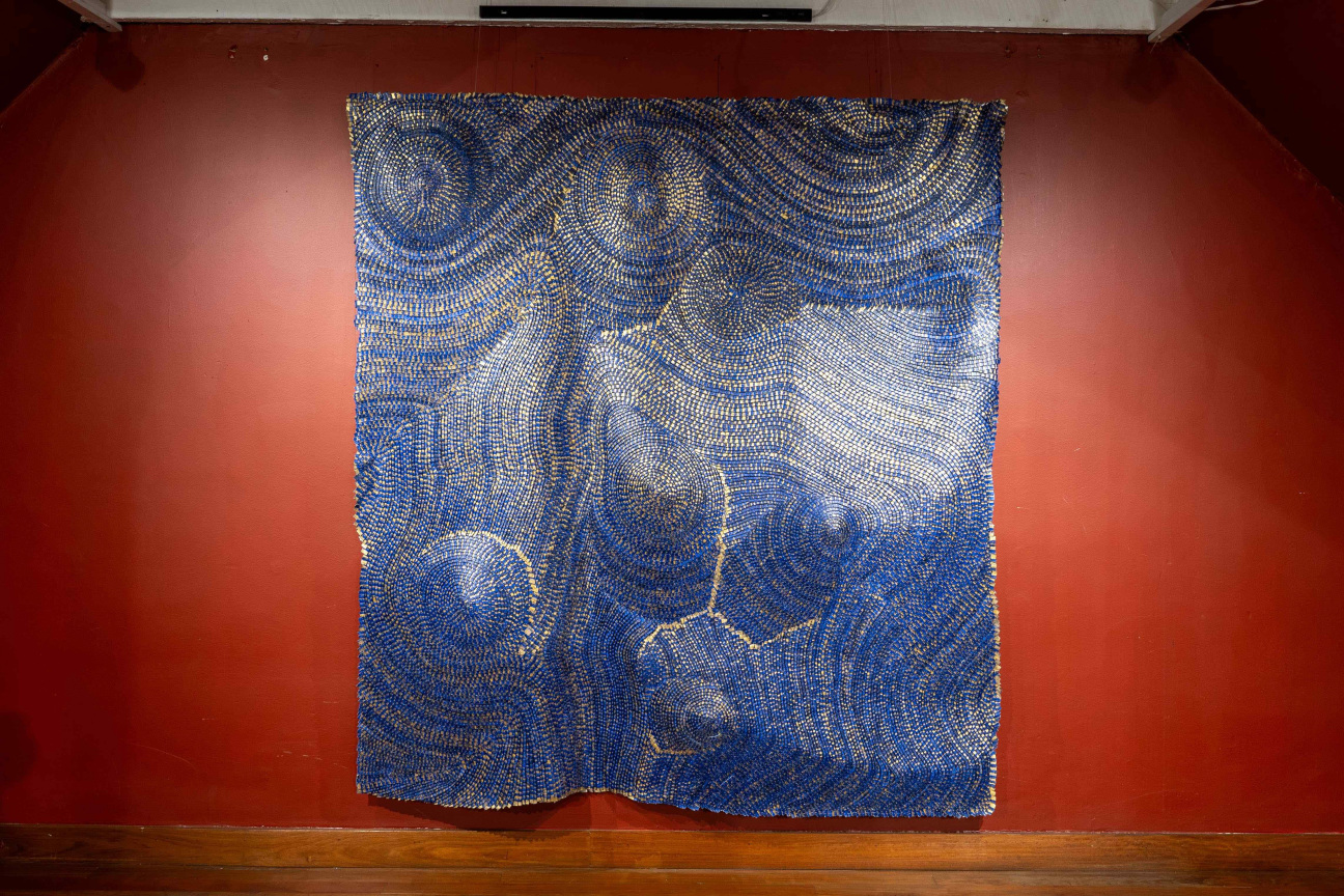 Artist-Olga-de-Amaral-Cenit