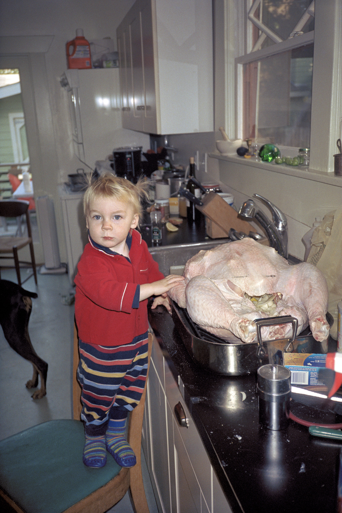 thanksgiving-catherine-opie