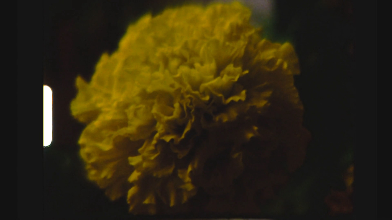 quiet-as-its-kept-film