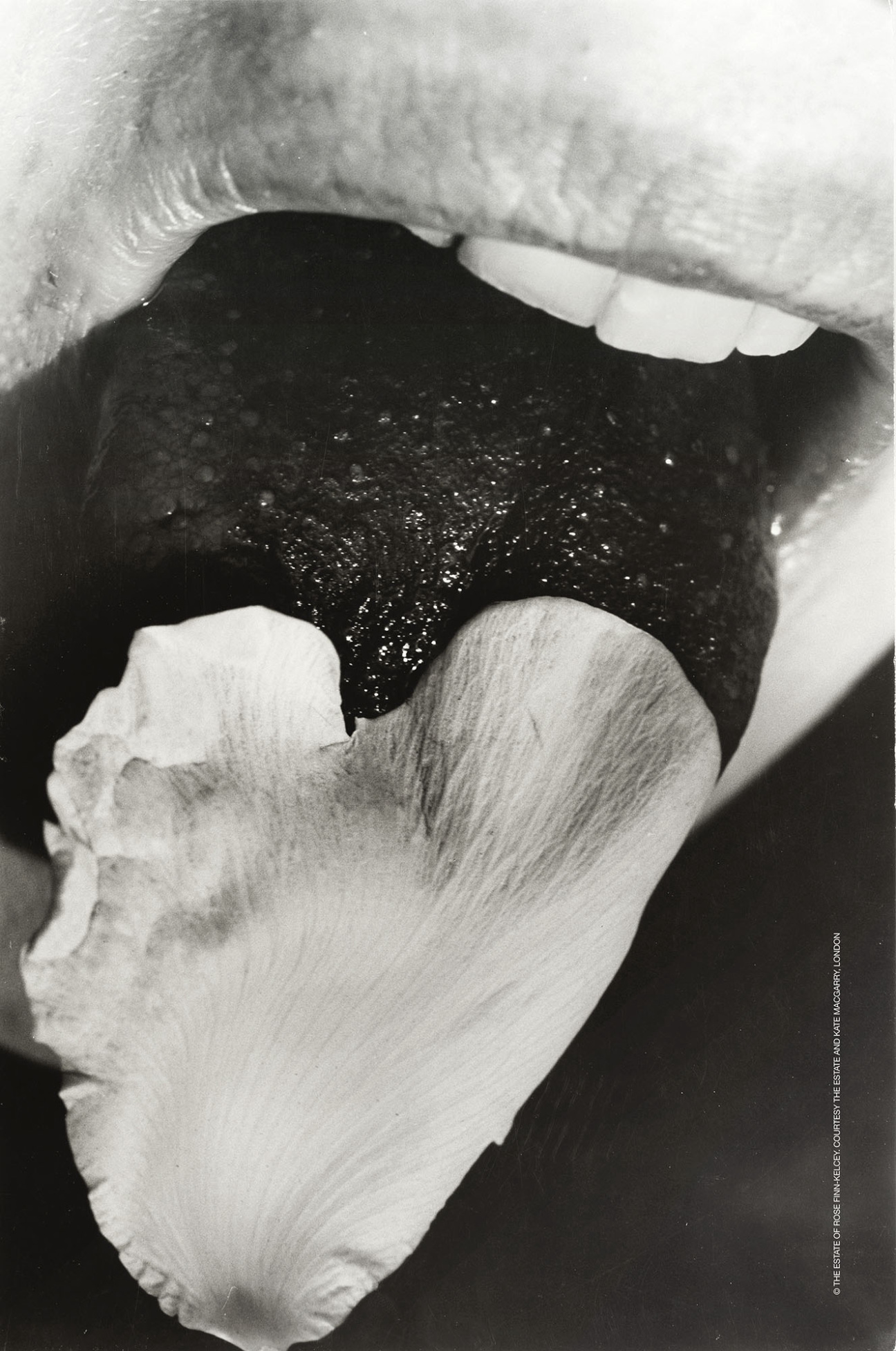 saint-laurent-exhibition