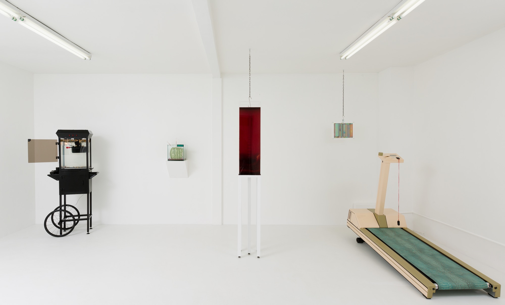 Max Hooper Schneider's 2014 installation at Jenny's. Courtesy of the gallery. 
