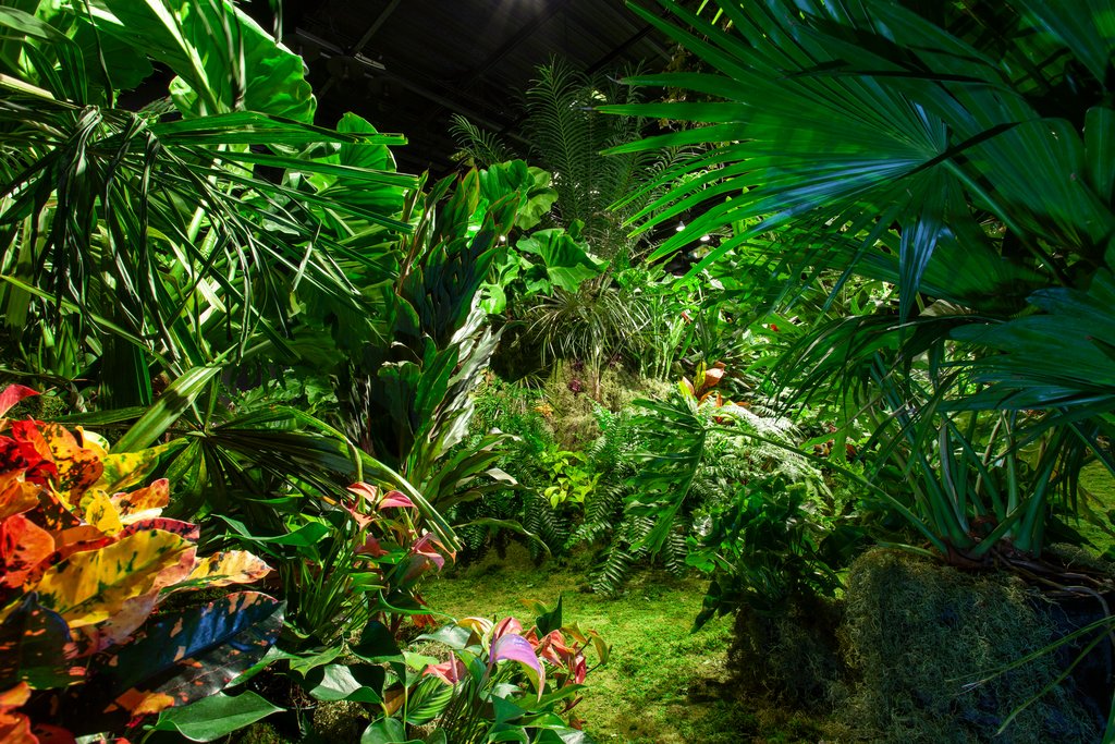 Lily Kwong’s Summer in Winter for Cadillac House and Visionaire.