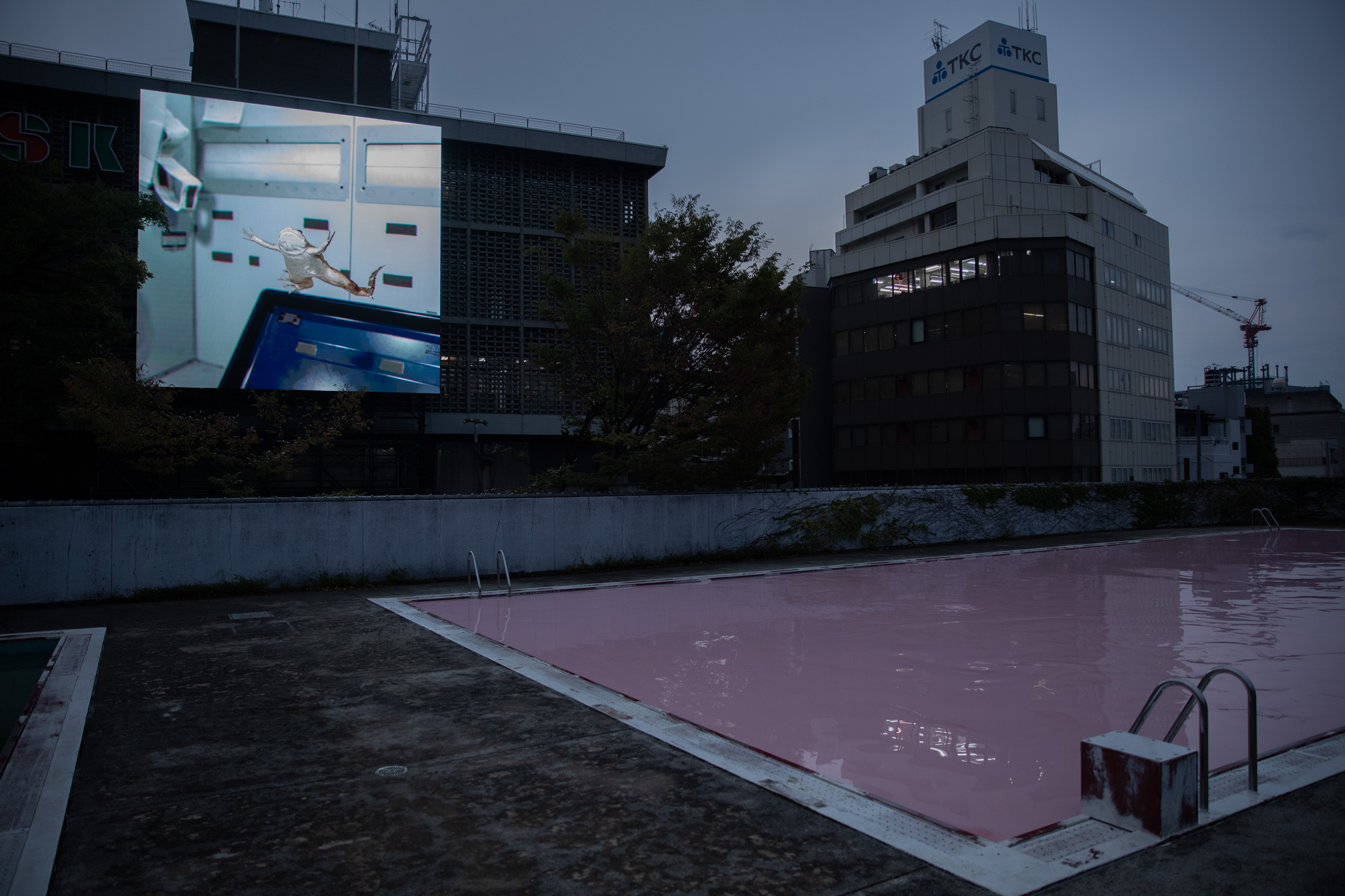  John Gerrard’s X. laevis (Spacelab), 2017 and Pamela Rosenkranz’s Skin Pool (Oromom), 2019 installed at IF THE SNAKE, Okayama Art Summit, 2019. Photo by Ola Rindal.