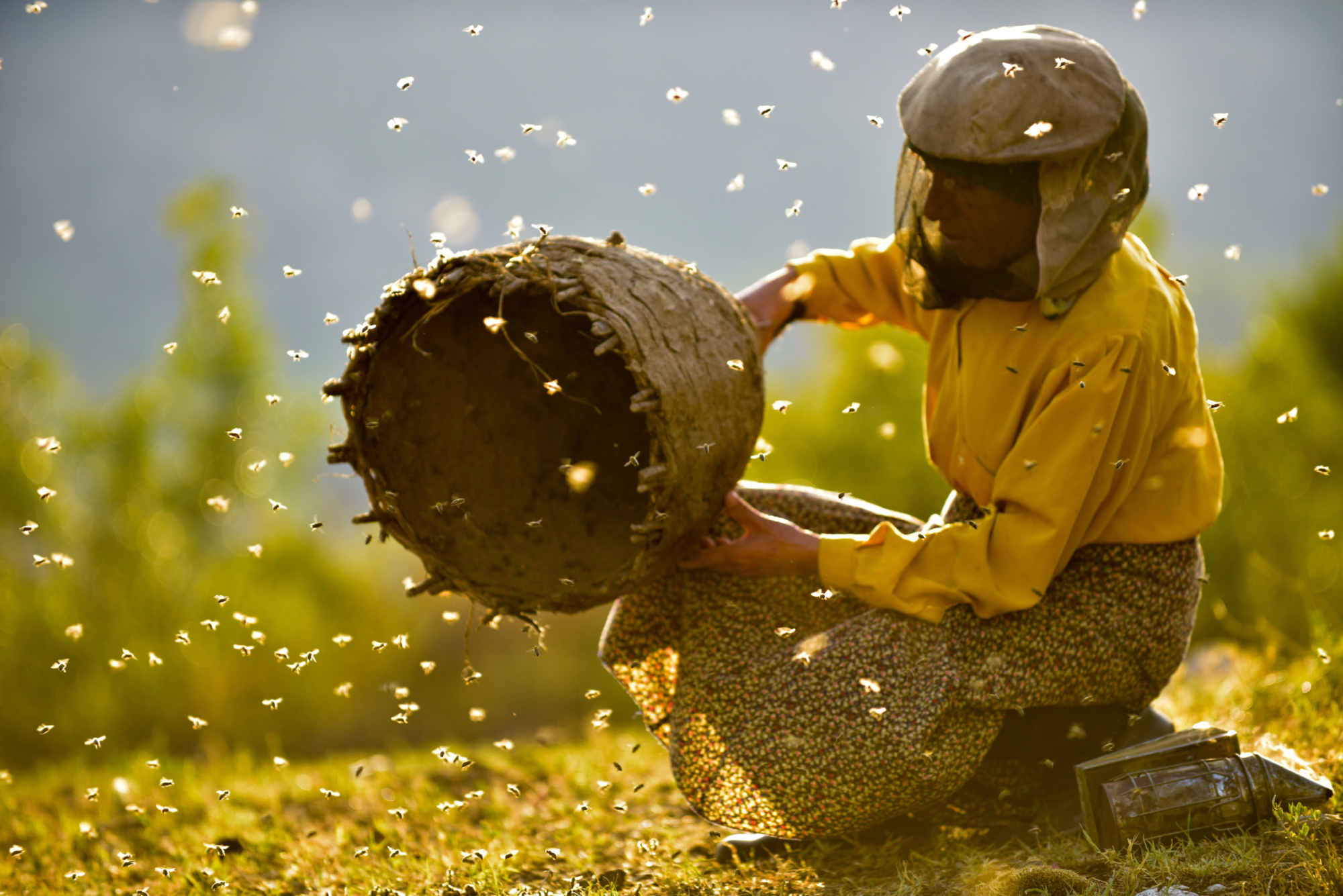 Still from Honeyland (2019)