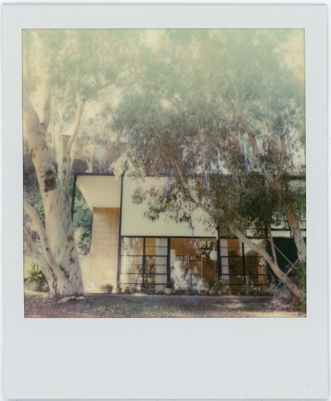 Photos by Lance Skundrich for Polaroid Originals. 