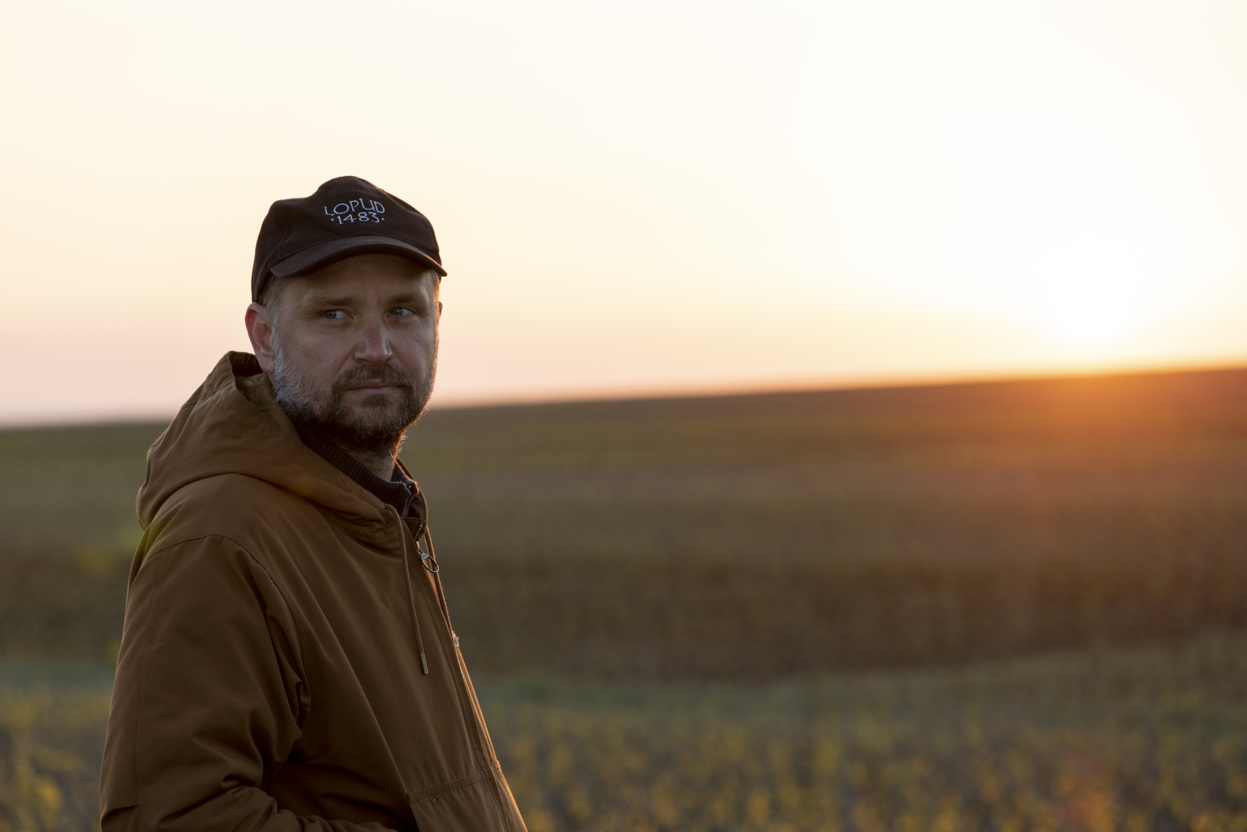 Man in field at sunset