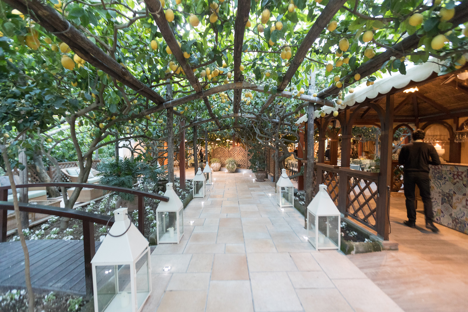 da paolino restaurant in capri, with large overhanging trellis full of lemons 